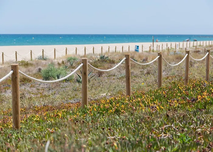 La Paz De Xinxilla دينايا